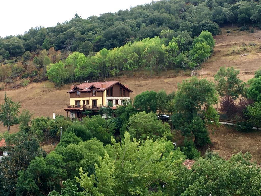 El Bosque Mieses